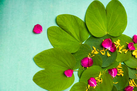 Indian festival dussehra , green leaf, rice and flowersの写真素材