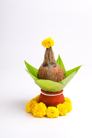 Indian festival akshaya tritiya concept : Decorative coconut with green leaf in clay pot on white backgroundの写真素材
