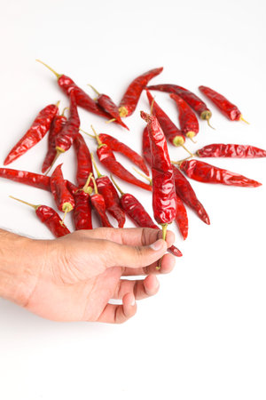 Dry red chilli holding in hand on white background