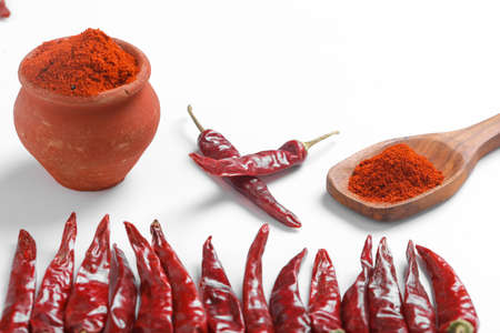 Red chilli powder with dried red chillies. in earthen bowl.の写真素材