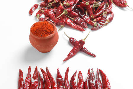 Red chilli powder with dried red chillies. in earthen bowl.の写真素材