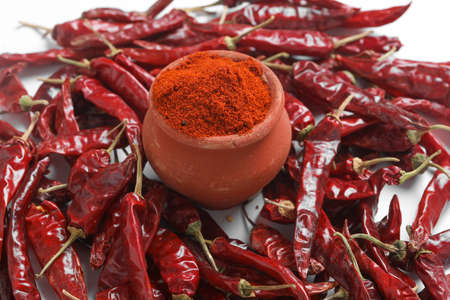 Red chilli powder with dried red chillies. in earthen bowl.の写真素材