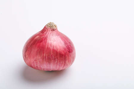 Red onion on whiteの写真素材