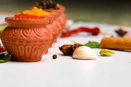 Red chilli powder,turmeric powder and coriander powder in clay bowl with other spices.の写真素材