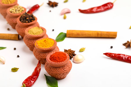 Indian spices collection, dried colorful condiment, nuts, pods and seeds and another spices in clay bowls.の写真素材