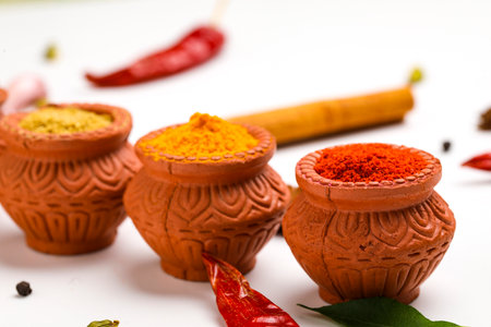Red chilli powder,turmeric powder and coriander powder in clay bowl with other spices.の写真素材