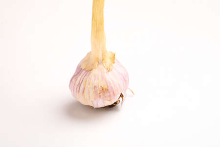 Garlic Isolated on white backgroundの写真素材