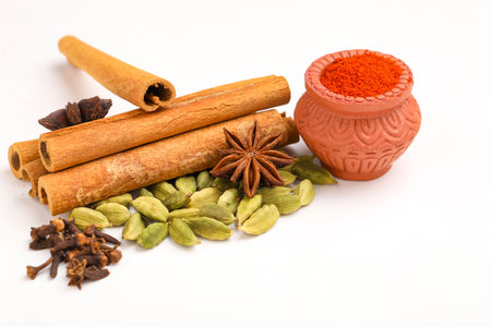 Indian spices and herbs on white background.の写真素材