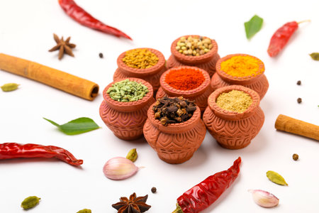 Indian spices collection, dried colorful condiment, nuts, pods and seeds and another spices in clay bowls.の写真素材