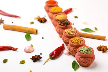 Indian spices collection, dried colorful condiment, nuts, pods and seeds and another spices in clay bowls.の写真素材