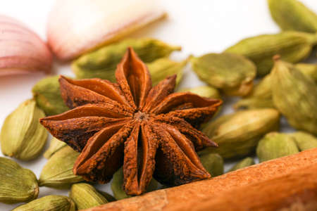 Star anise spice fruits and seeds isolated on white background closeup.の写真素材