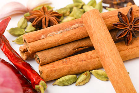 Indian spices and herbs on white background.の写真素材