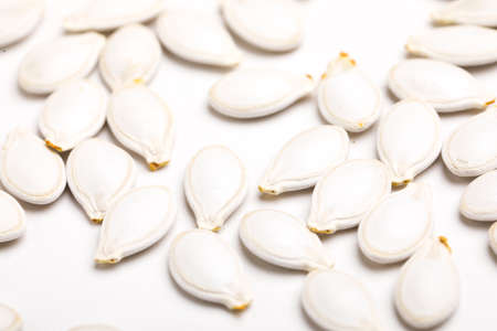 Heap of pumpkin seeds isolated on white backgroundの写真素材