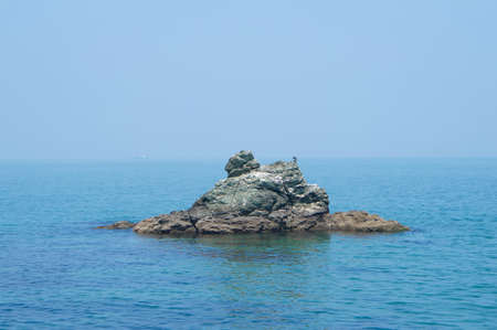 Seabirds on the rocks beside ISE MeotoIwaの写真素材