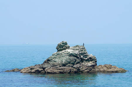 Seabirds on the rocks beside ISE MeotoIwaの写真素材