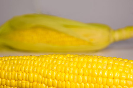 Japan domestic corn suppliesの写真素材