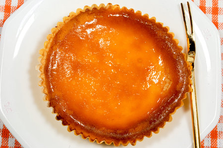 Cheese Tartの写真素材