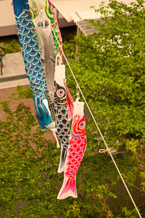 Lots of carp streamers