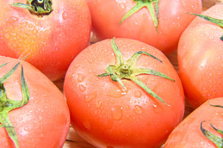 Ripe tomatoの写真素材