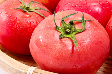 Ripe tomatoの写真素材