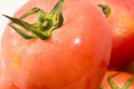 Ripe tomatoの写真素材
