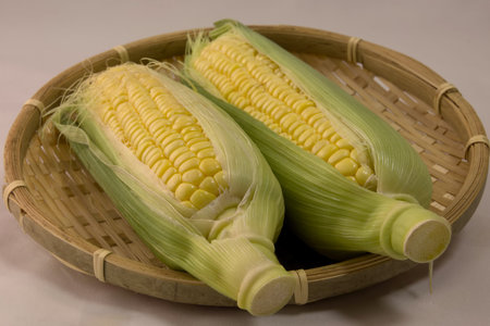 Closeup photo of Corn from Hokkaidoの写真素材