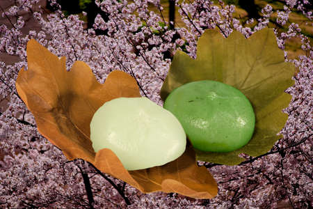 Hanami dangoの写真素材