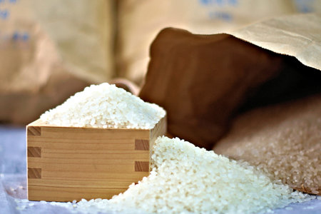 The rice of Japanの写真素材