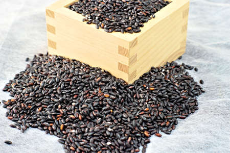 Ancient Japanese Riceの写真素材