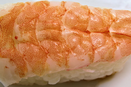 Hand-rolled sushiの写真素材