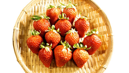 Strawberries in a bamboo sieve on a white background.の写真素材