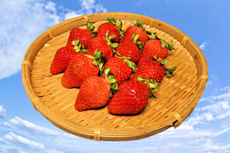 Strawberries in a wicker basket on a background of blue skyの写真素材