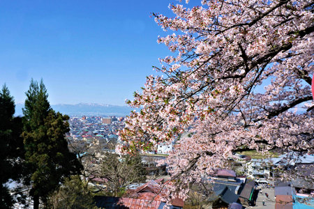 View of Aizu city from Mt. Iimoriの写真素材