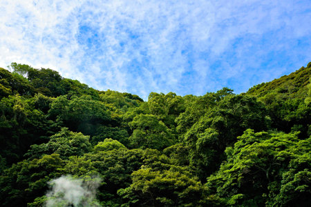 Green forest with blue sky and white clouds in Taiwan, Asia.の写真素材