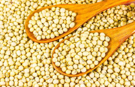 Soy bean in wood spoon full on wooden background,Macro shot of soybeans fills the frame, selective focus,texture,soy milk,soy oilの写真素材