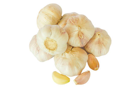 Fresh garlic isolated on white backgroundの写真素材