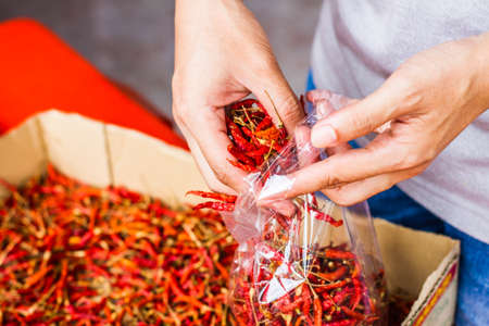Hot and spicy Red Chilli on hand,Dried red chili,Pepper,Chillies as background for sale in a local food market,thai food ,close up,texture,spice medicinal properties.の写真素材