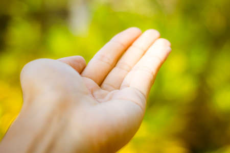 empty female woman hand holding on green bokeh background.の写真素材