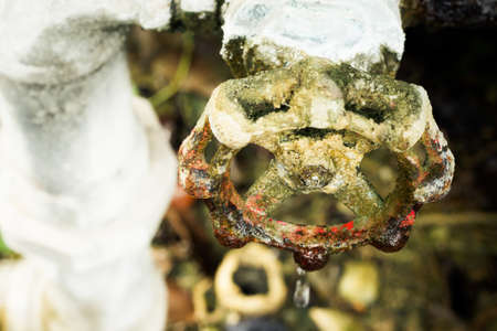 A close up of a rusted valve connects to water supply with metal pipe,Industrial metal water tab,seen in a garden, for watering the plantsの写真素材