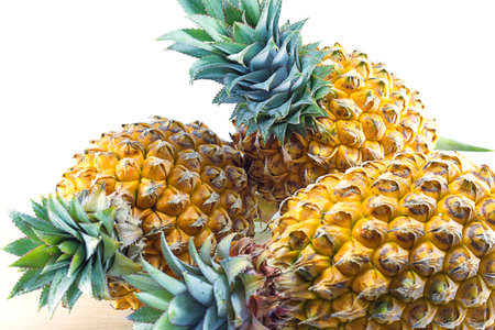 Pineapple on white backgroundの写真素材