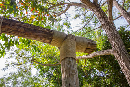 Wood with a rope tied. ropes with a knot.の写真素材