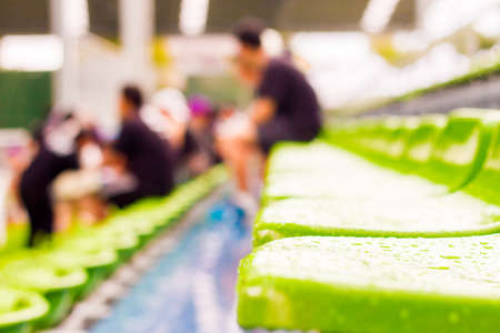 Close up chair green,green plastic stadium seats arranged in a row. The image has been made before the beginning of a tennis game,Blurred background of crowd of people at the stadiumの写真素材