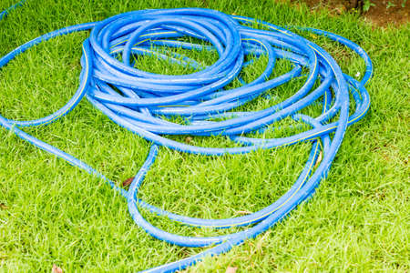 Rubber tube for watering plants in the garden.の写真素材