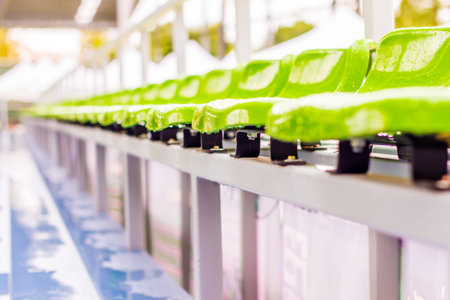 Close up chair green,green plastic stadium seats arranged in a row. The image has been made before the beginning of a tennis game,Blurred background of crowd of people at the stadiumの写真素材
