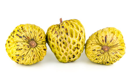 Fresh Custard Apple or Ripe Sugar Apple Fruit ( Annona, sweetsop)