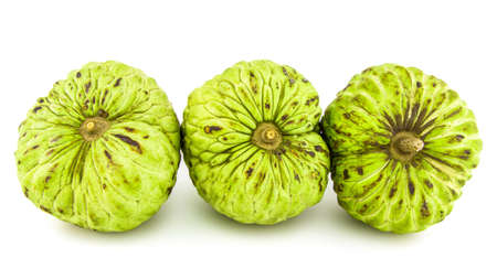 Fresh Custard Apple or Ripe Sugar Apple Fruit ( Annona, sweetsop) Isolated on white background on with clipping path / well-branched tree or shrub that bears edible fruits healthy eating / thai fruitの写真素材