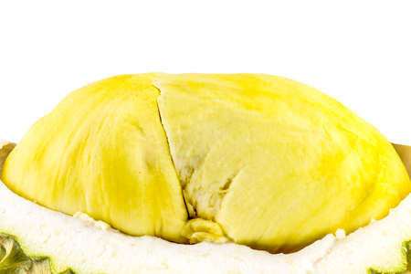 Durian is the king of fruits famous fruits in thailand, Durian fruit flesh isolated on white background. durian is distinctive for its large size, strong odour, and thorn-covered rind.の写真素材