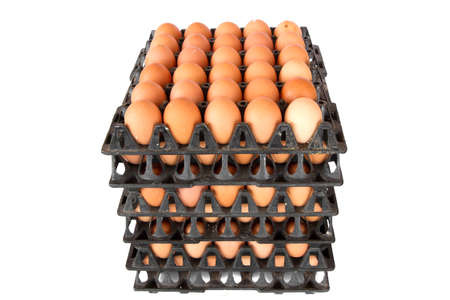 Eggs, Chicken Egg, Eggs in the package isolated on white backgroundの写真素材