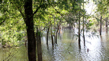 BANGKOK, THAILAND, The damage after Thai flood crisis ,November 17, 2011 in Bangkok, Thailandのeditorial素材