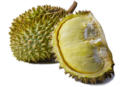 Durian isolated from white background. Durians is the king of fruits, asian fruit of tropical. Thai sweet foodの写真素材